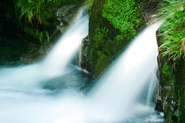 Dos son las fuentes que nos dan la VIDA